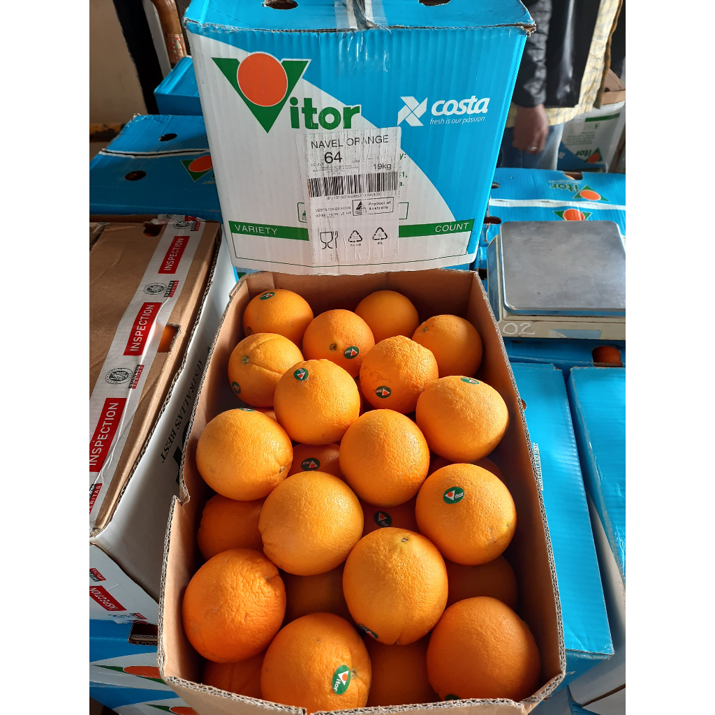 

Jeruk Navel Australia Import (KG)