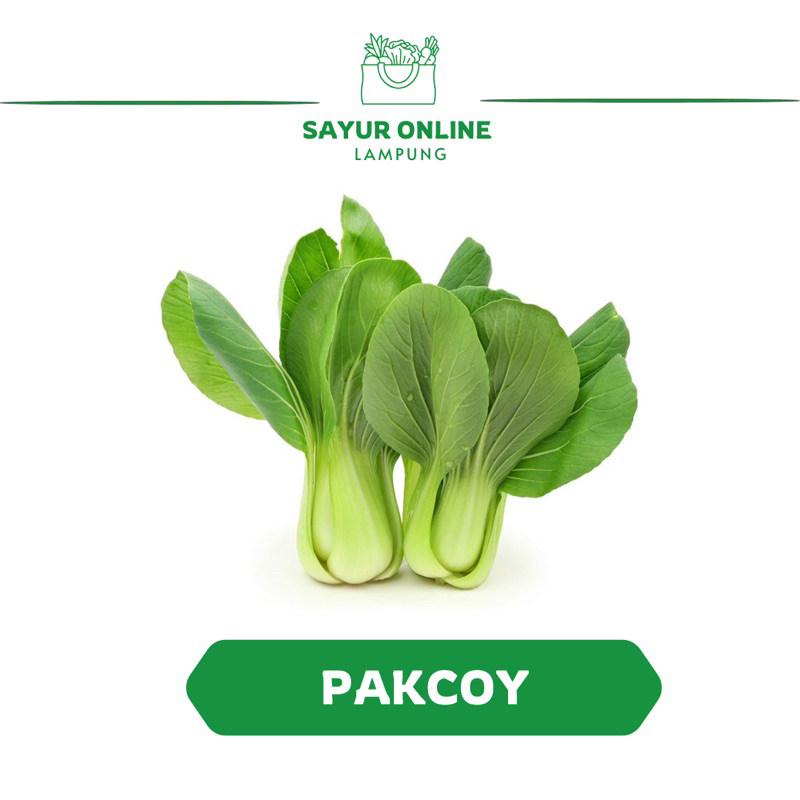 

Sayur Pakcoy / Pakcoy - Sayur Online Lampung