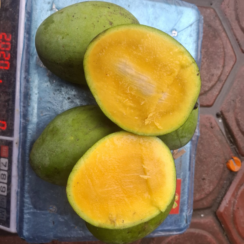 

1 KG Mangga Kweni fresh