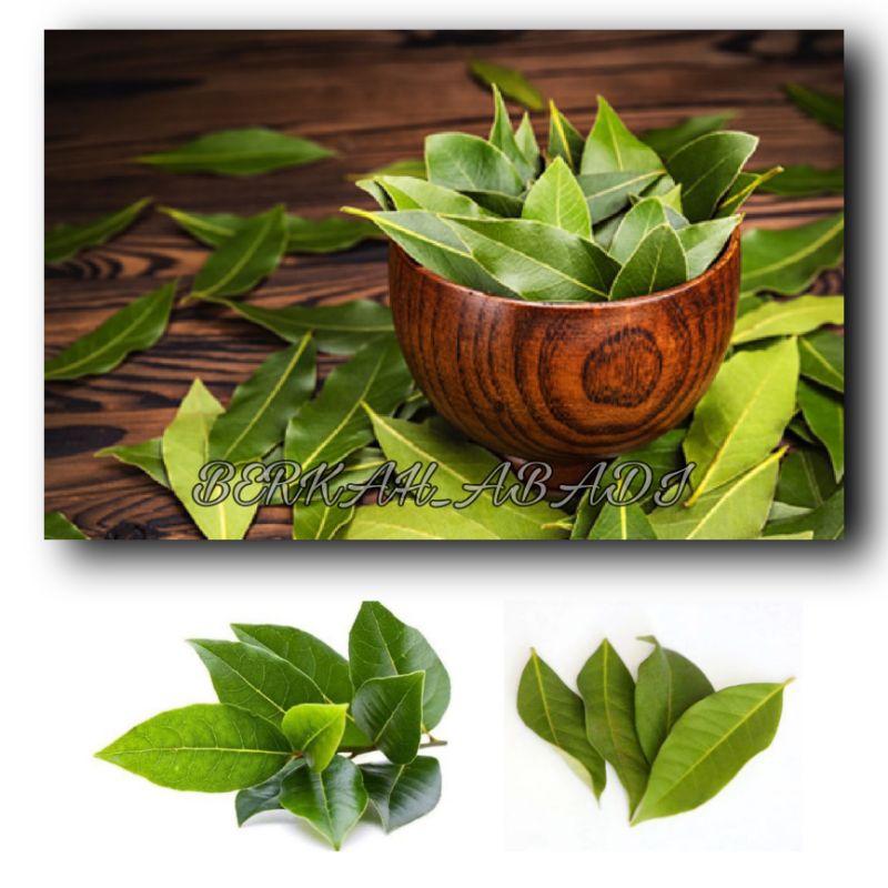 

DAUN SALAM - DAUN SALAM KERING BERKUALITAS BAGUS / DAUN SALAM SEGAR BERAT 250 GRAM ,500 GRAM SAMPAI 1KG / DAUN SALAM TERMURAH /PELENGKAP BUMBU-BUMBU MASAKAN / SAYUR-SAYURAN / DAUN SALAM TERLARIS