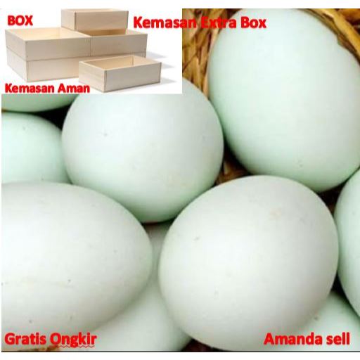 

Telor bebek mentah Langsung dari kandang gratis kemasan BOX aman