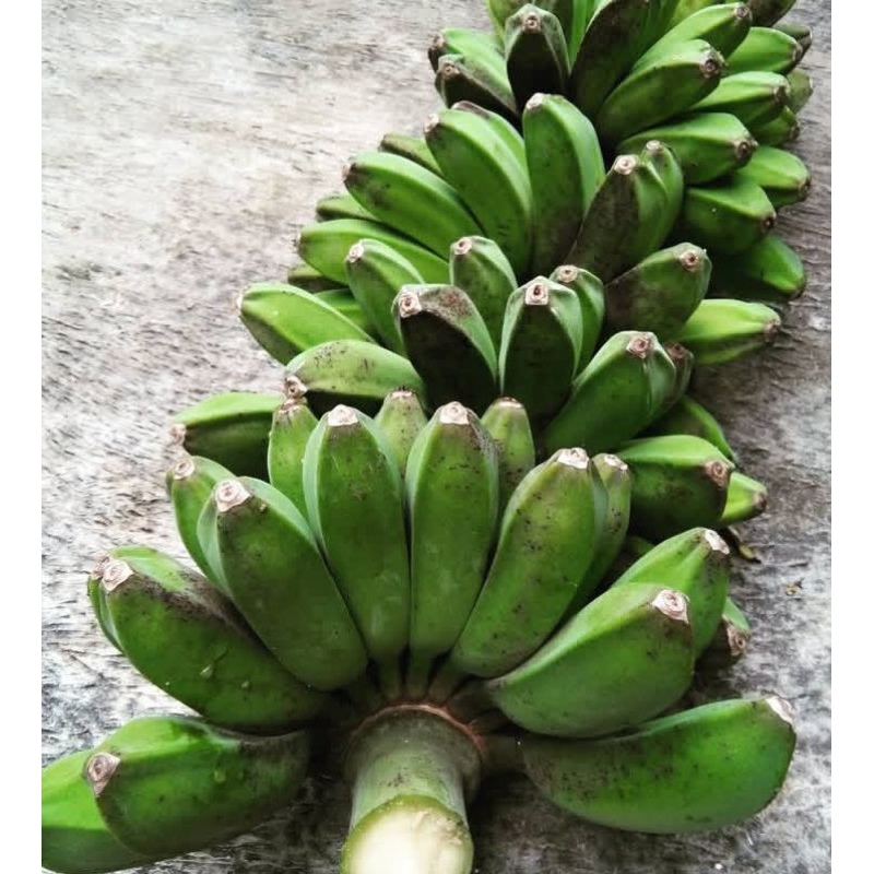 

BUAH PISANG KEPOK KUNING SUPER 1 SISIR