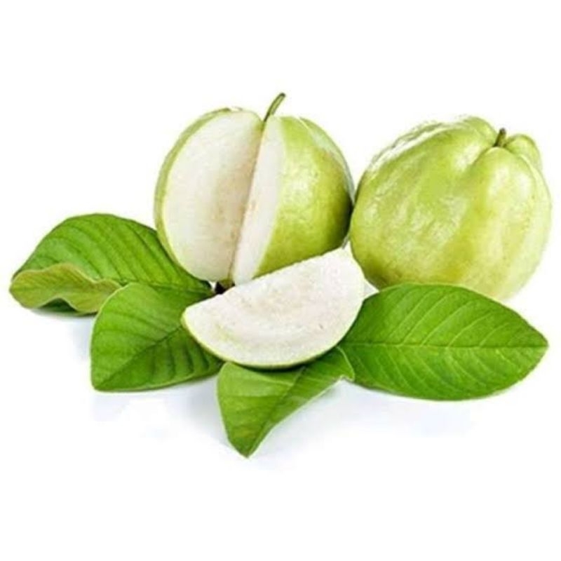 

Jambu kristal 1kg