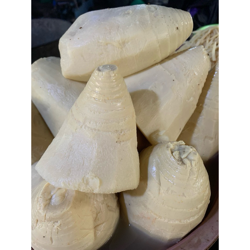 

Rebung Bambu Matang Fresh Utuh