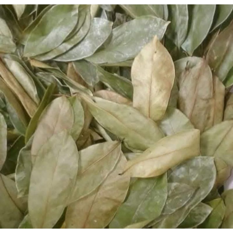 

daun sirsak kering 100gr