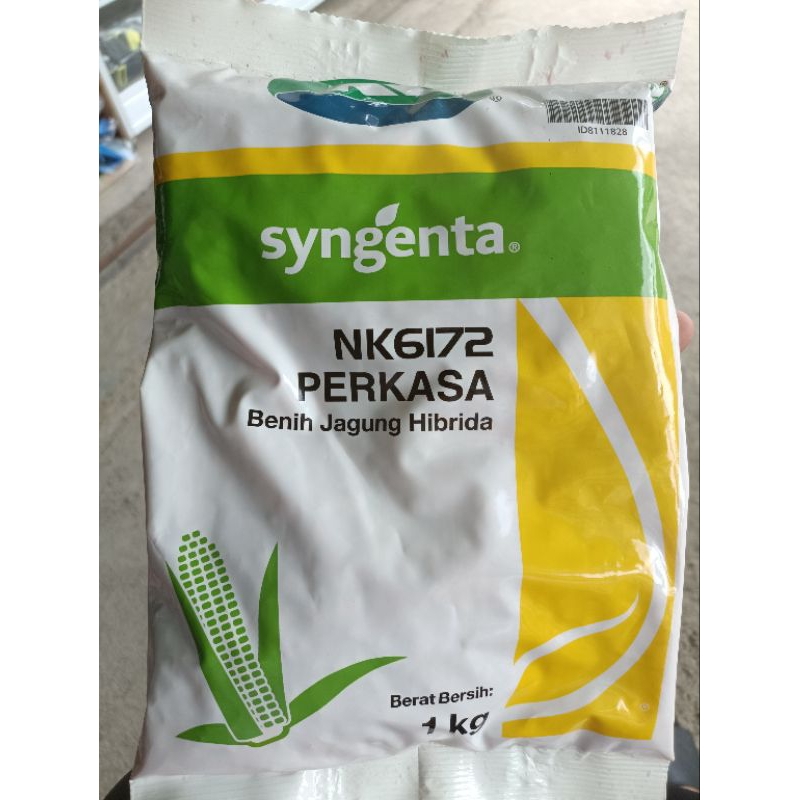 

BENIH JAGUNG NK PERKASA 6172