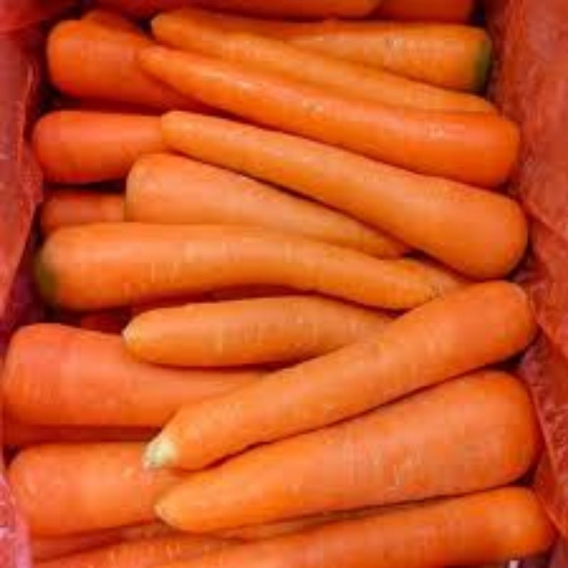 

wortel import 500gr