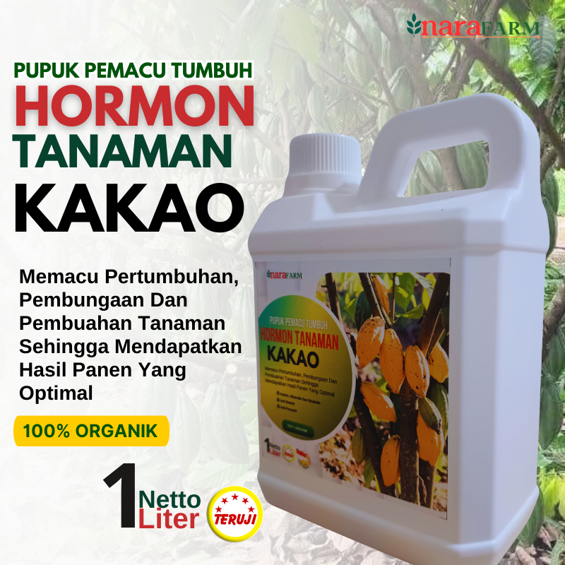 Hormon tanaman buah kakao,Pupuk organik cair pelebat buah kakao,Pupuk pelebat buah,Pupuk buah kakao