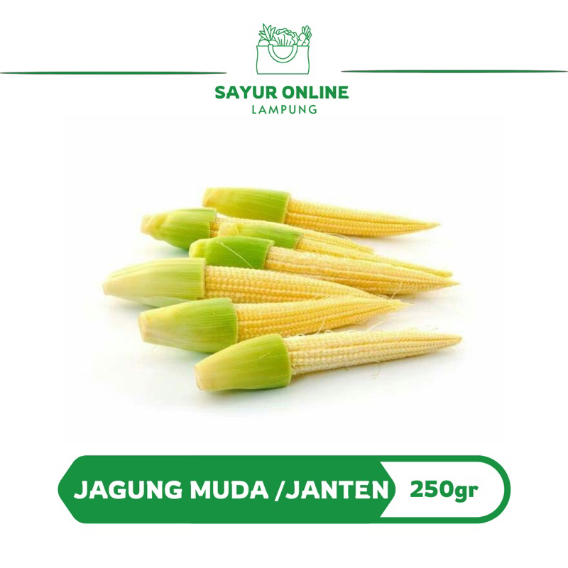 

Jagung Muda / Janten 250 gr -Sayur Online Lampung