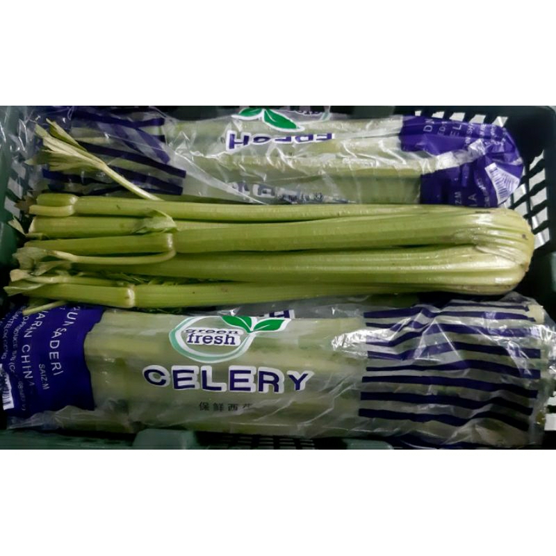 

Celery Stick Import / Seledri Batang Import