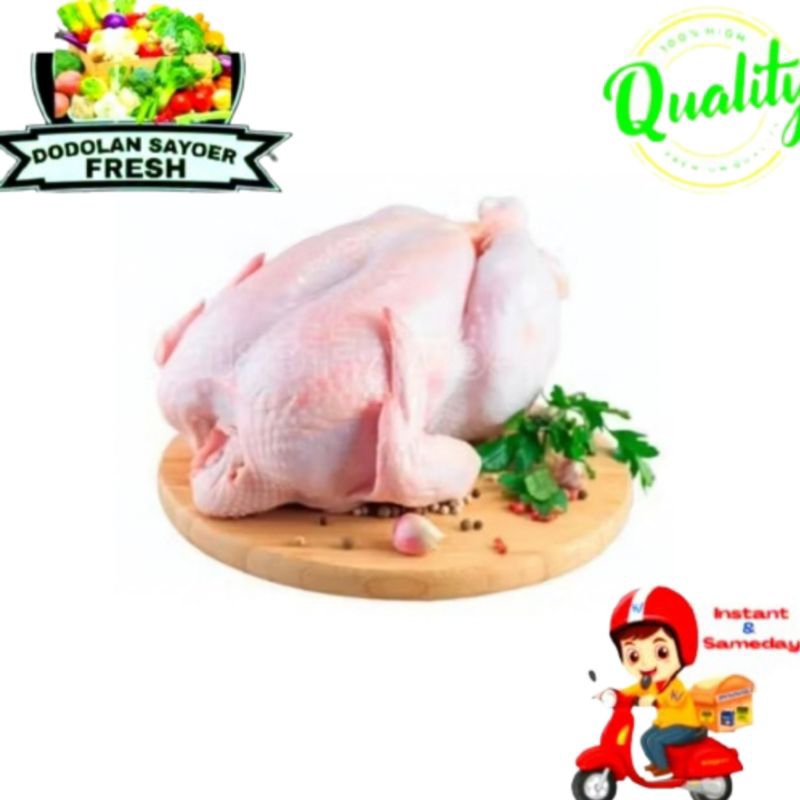 

Ayam 1ekor/ayam utuh/potong Fresh pilihan