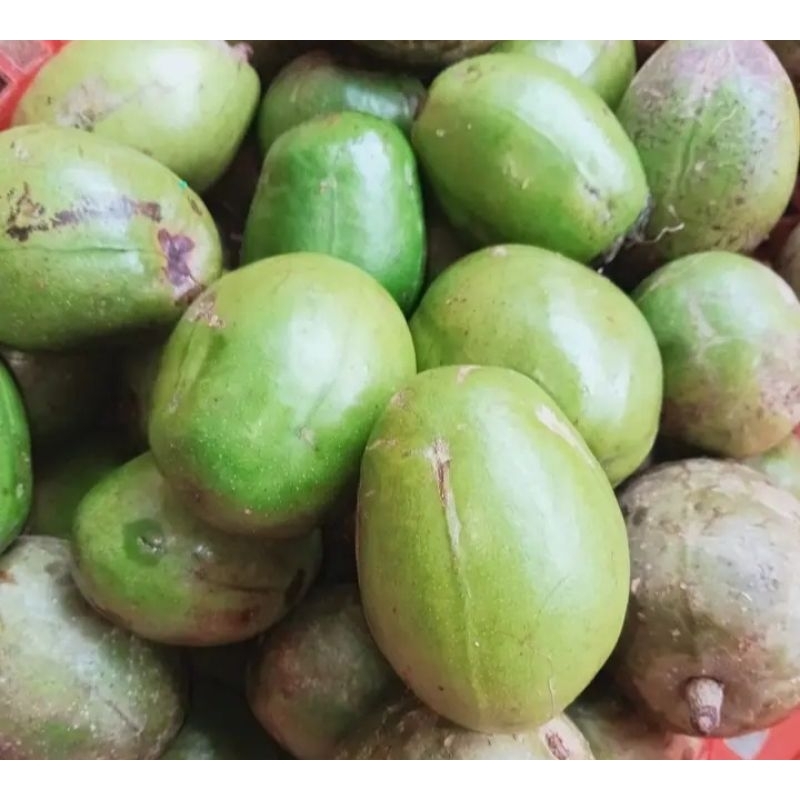 

BUAH KEDONGDONG RUJAK 1KG SEGAR