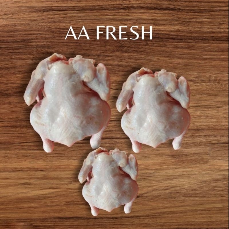 

Ayam broiler/ayam karkas/ayam negeri/ayam fresh utuh/halal/500gr