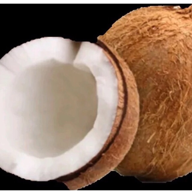 

Kelapa Tua Masih ada airnya