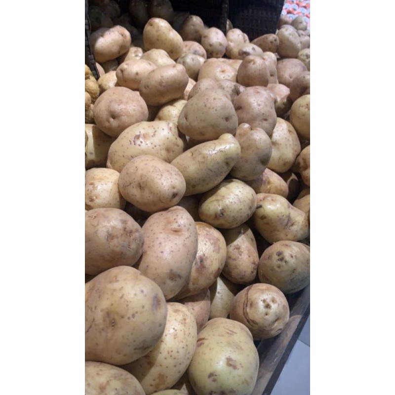 

Kentang super , promo dari petani 1KG