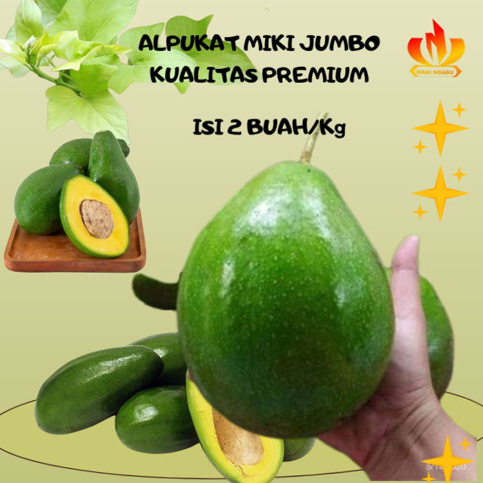 

Alpukat Miki Isi 2 Buah/Kg Kualitas Premium Bergaransi Daging Tebel