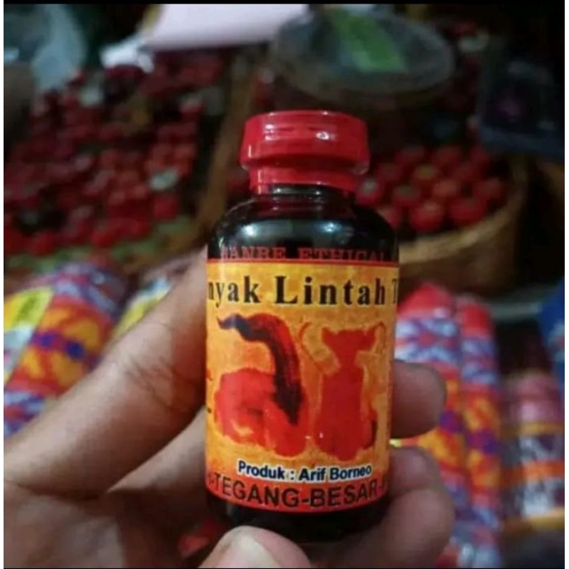 minyak lintah tapa asli.