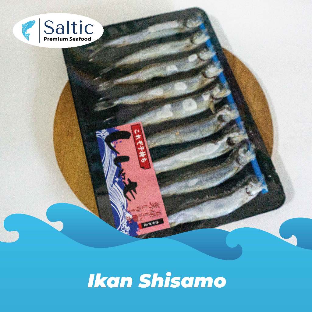 

Ikan Shisamo (170 gram) - Saltic