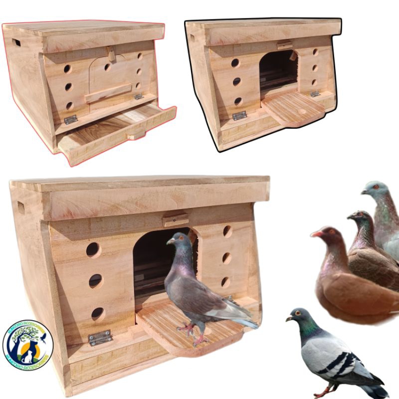 Gupon Kandang Rumah Lancip Merpati Kolong Balap