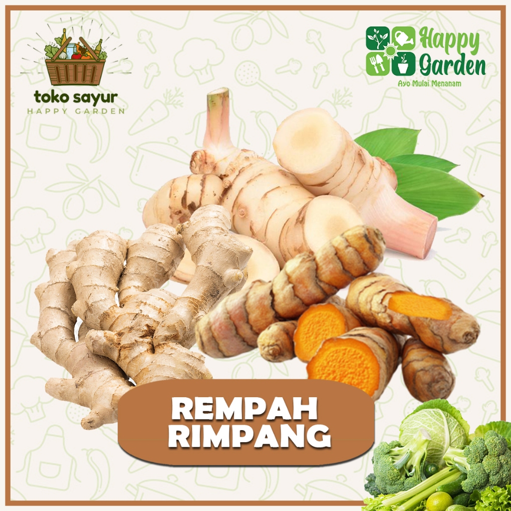 

REMPAH RIMPANG 200 GRAM JAHE KUNYIT LENGKUAS SEGAR BERKUALITAS