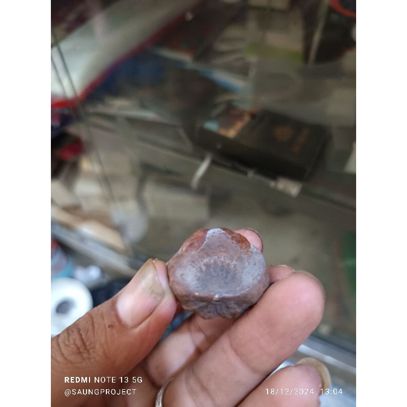 muncang adu jalim mayit, pasangan tobrut, #