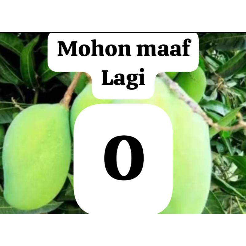 

MANGGA MUDA RUJAK 1 kg