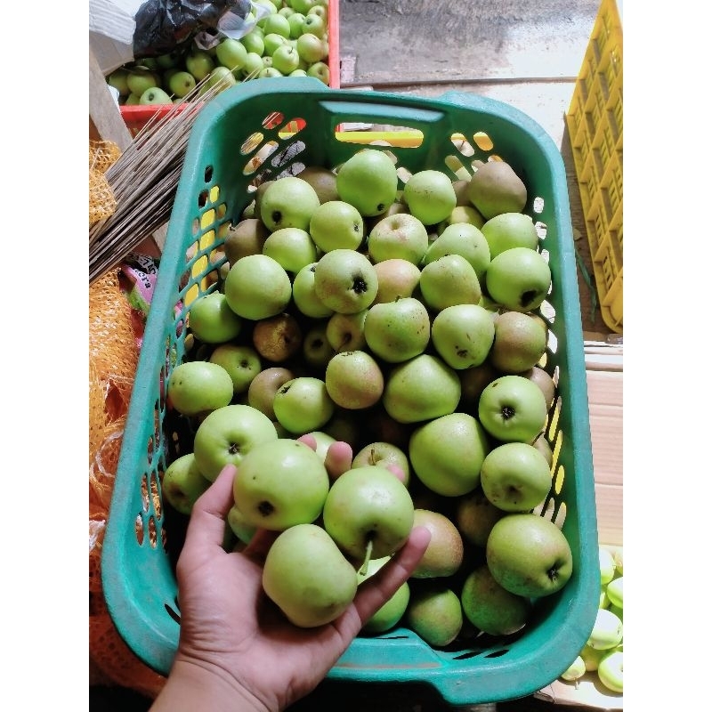 

Buah Apel Ukuran TANGGUNG/sedang 1 kg asli kota Batu Malang