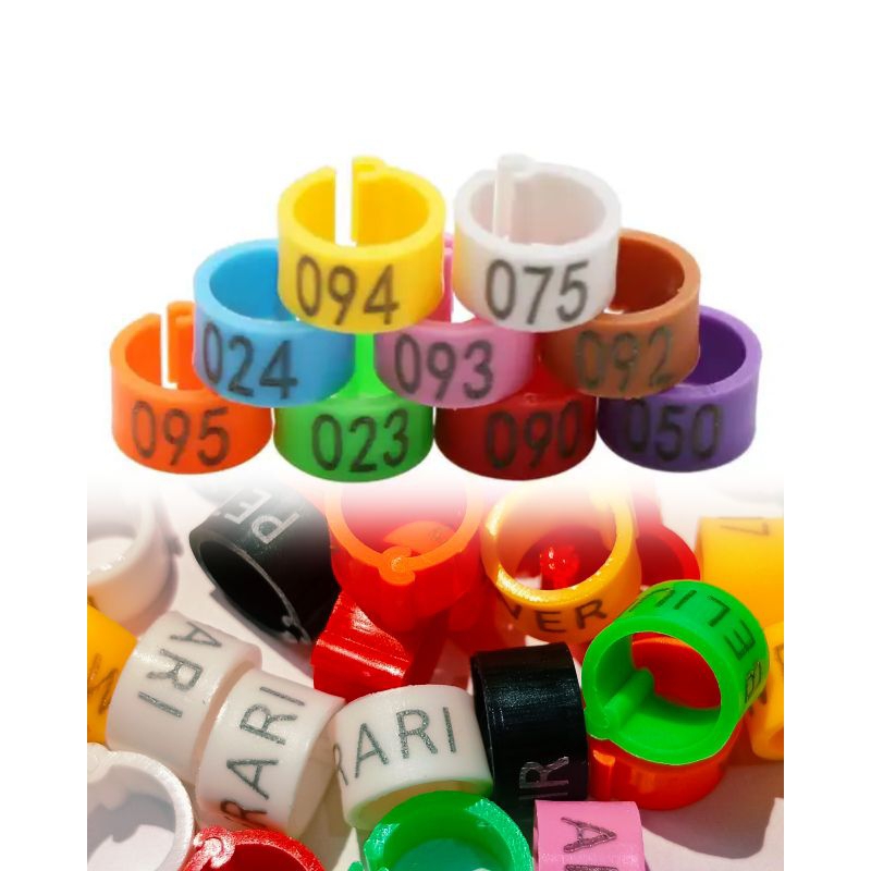 Ring klip merpati dewasa no seri random / nama random