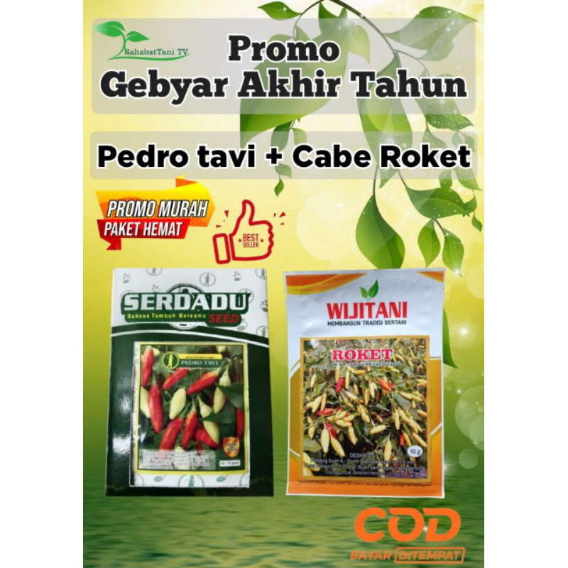 

Cabe Pedro tavi + Cabe Roket (cabe rawit tipe ori tahan virus berbobot, padat & sangat disukai di pasaran)