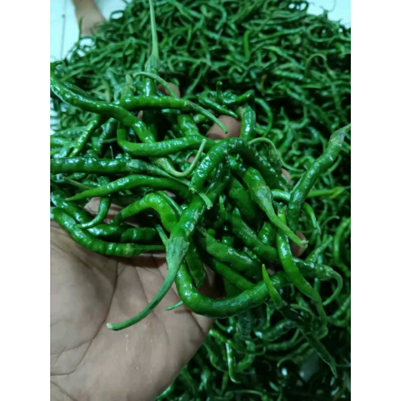 

Cabe Hijau Asli Padang 500 Gram Murah bukittinggi