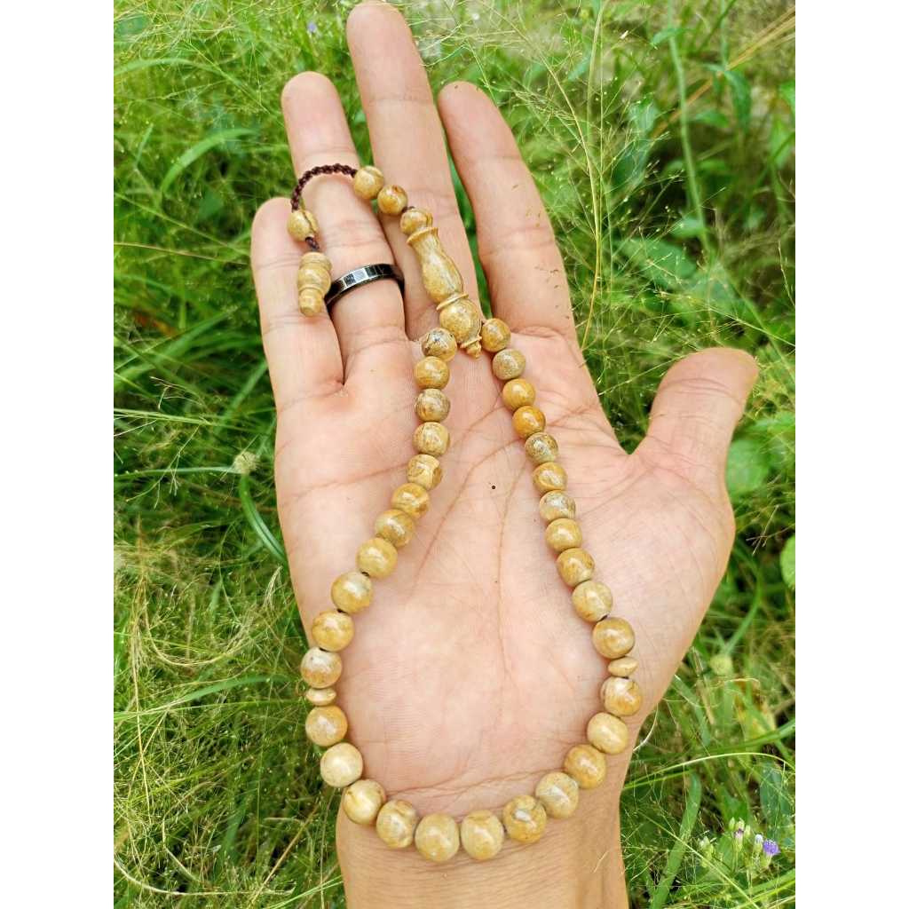 Tasbih muslim 33 butir akar bahar putih original