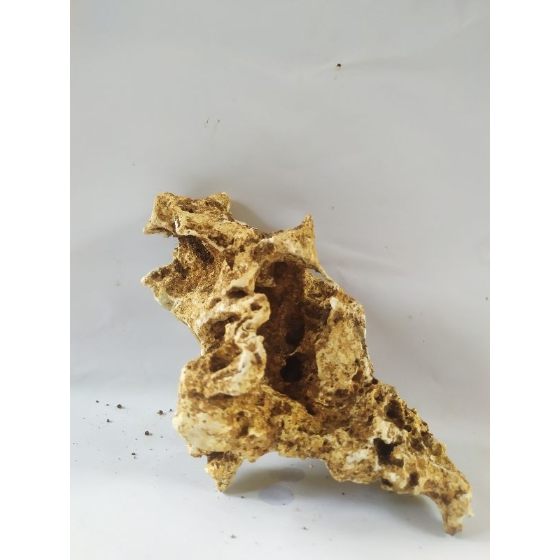 Batu karang gunung, hiasan aquarium, bonsai