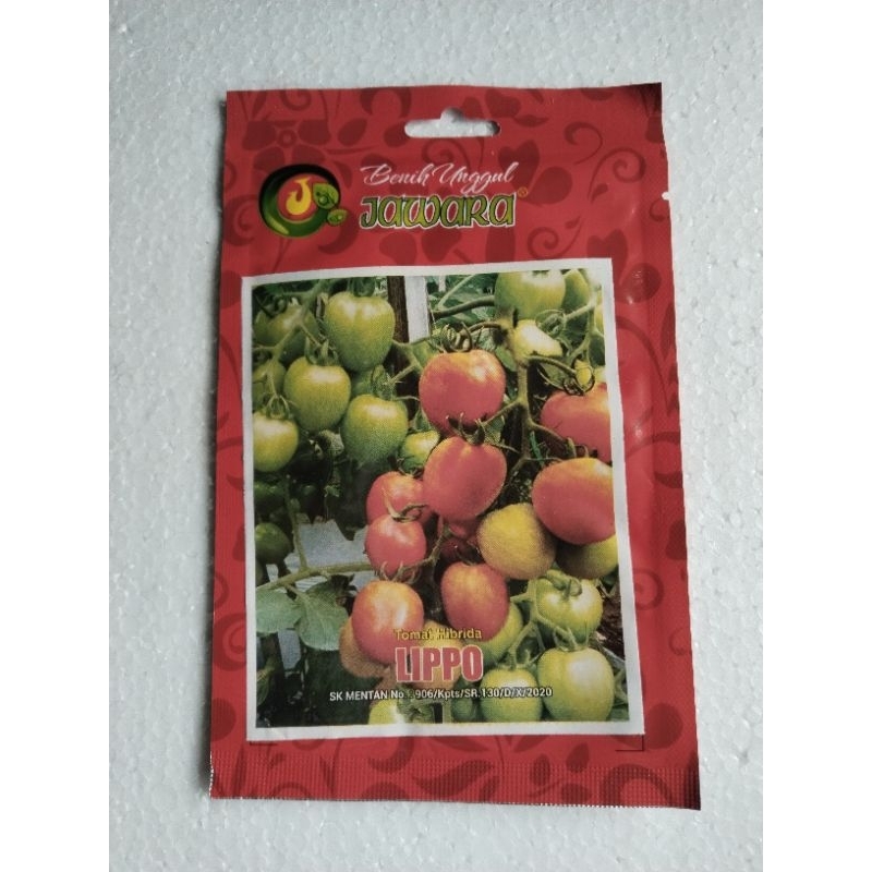 Tomat Hybrid F1 Lippo 5 Gr