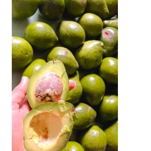 

alpukat lokal kecil 6-7