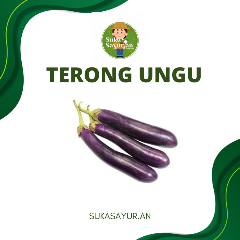 

SUKASAYUR.AN - Terong ungu 500 gram