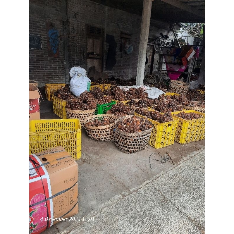 

Salak Pondoh Fresh 1 kg / 1000 gram