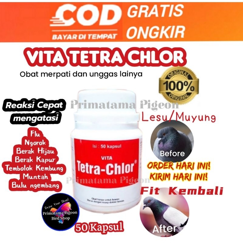 TETRA CHLOR 50 KAPSUL / VITA TETRA CHLOR / OBAT BURUNG AYAM NGOROK FLU SNOT CRD KOLERA