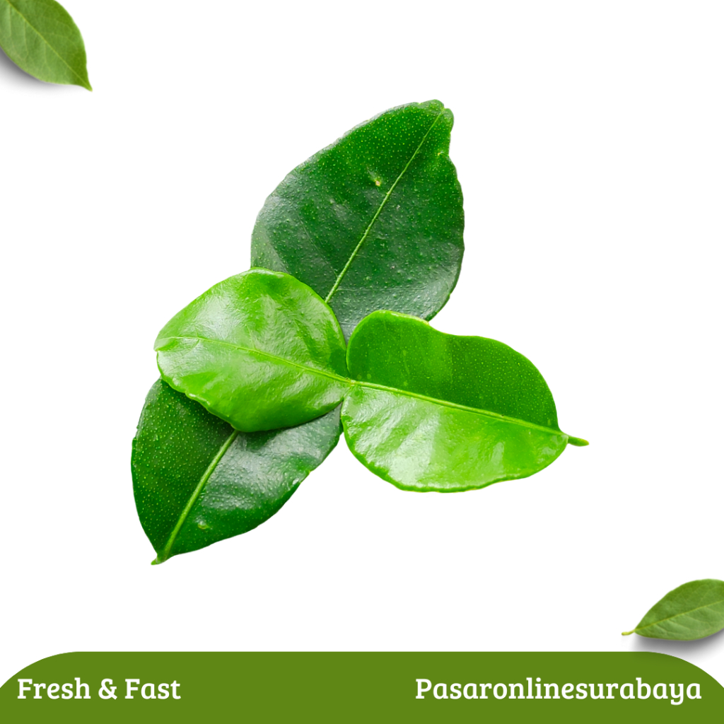 

Daun Jeruk 250 gram 500 gram 1 Kg