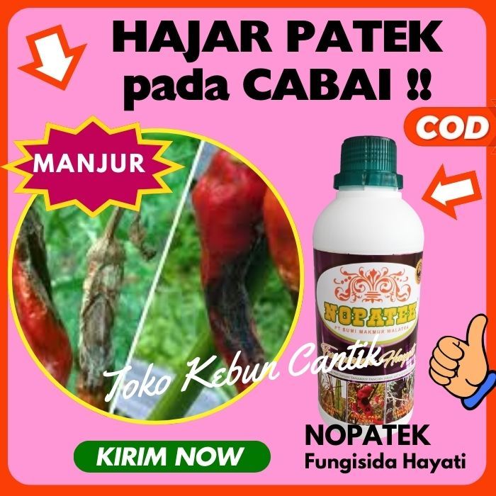 NOPATEK 500ML untuk Penyakit Busuk PATEK CABE/CABAI, Virus Kuning/Gemini pada Tanaman Palawija. Solu