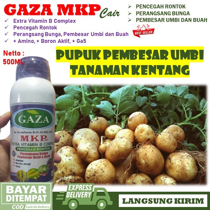 PROMO TERBARU Pupuk Pembesar Umbi Kentang MKP GAZA 500ml Pupuk Obat Pembesar Khusus Umbi Kentang - Z
