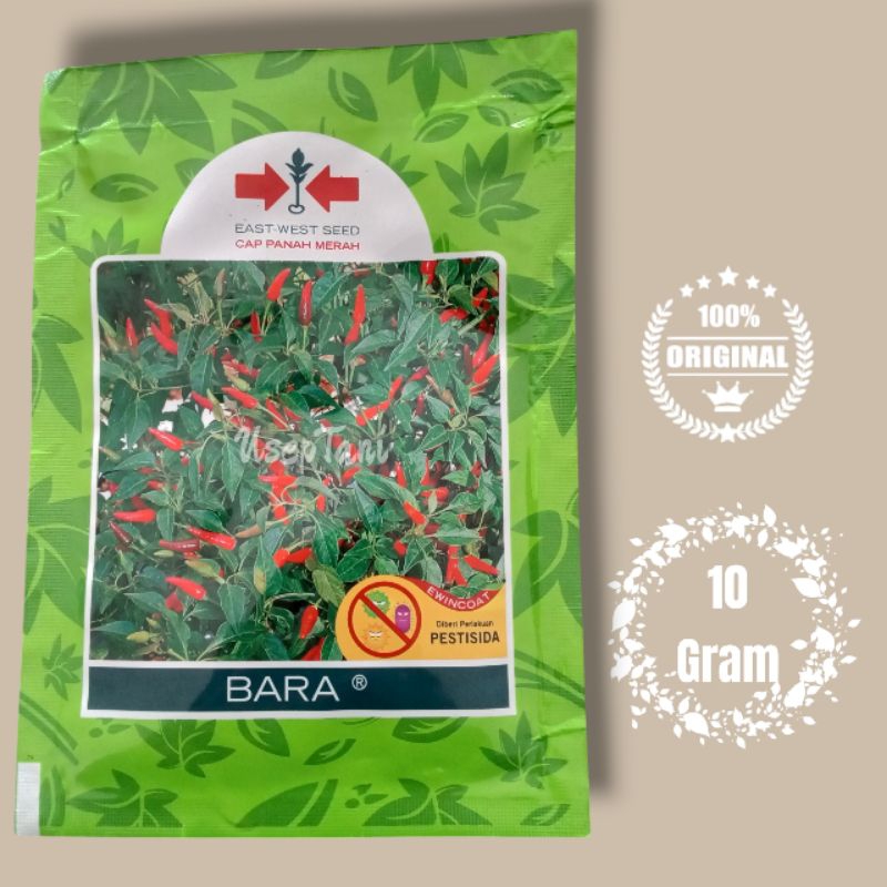 

BENIH CABE F1 BARA 10 GRAM CAP PANAH MERAH