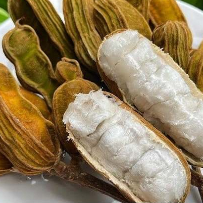 

Buah Salju Super 1kg