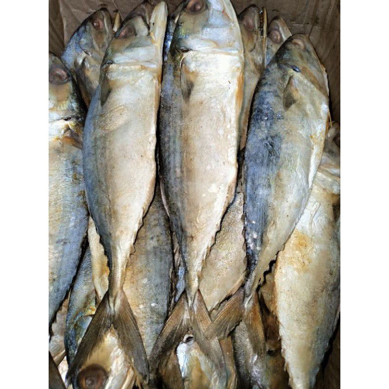 

IKAN ASIN PEDA IWAK KARING PEDA
