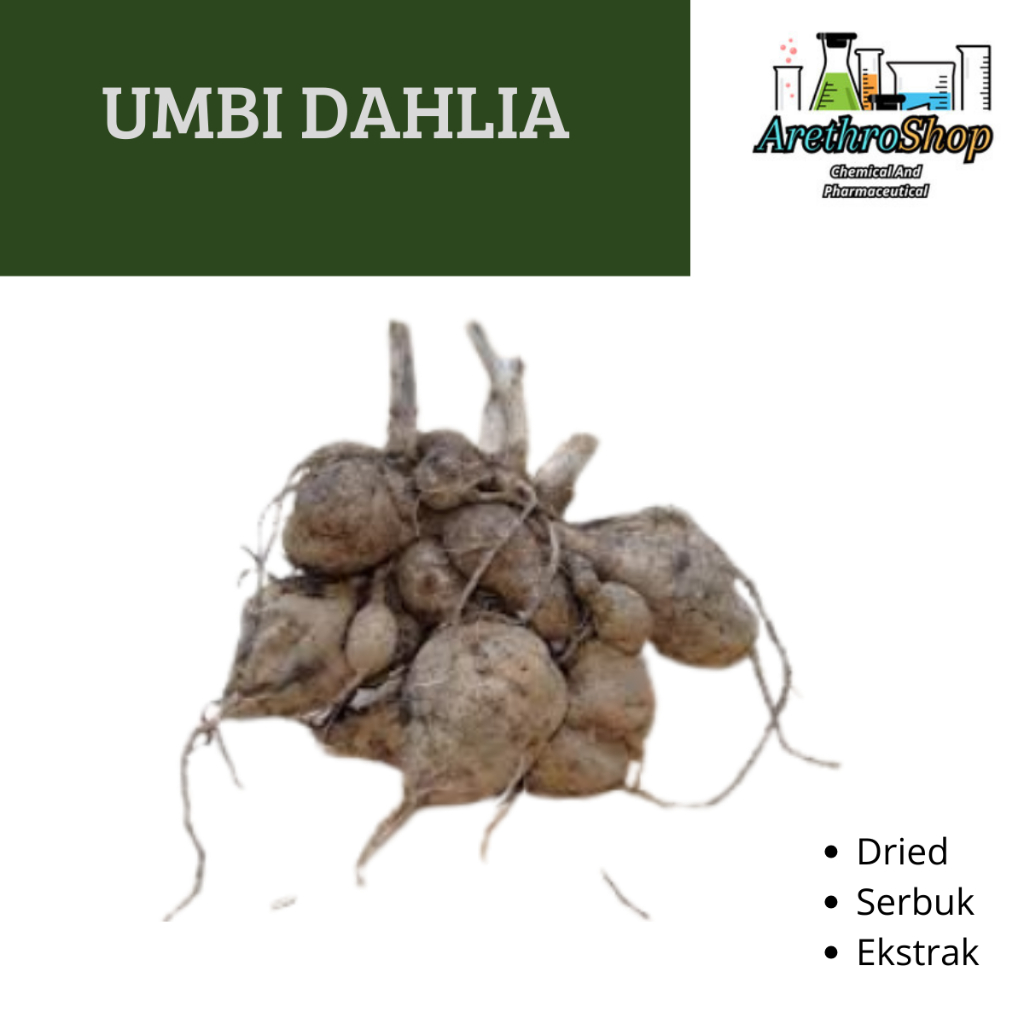 

SERBUK DAN DRIED UMBI DAHLIA BEST PRODUCT