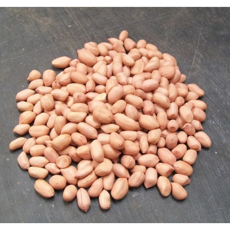 

kacang tanah lokal hasil petani