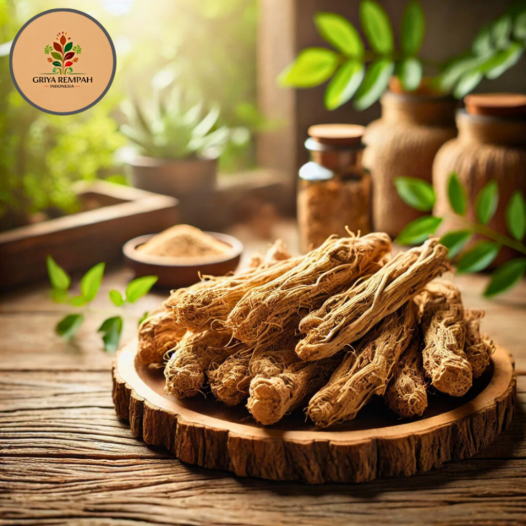 

AKAR DARUJU KERING 50 GRAM – Jeruju Drujon Ramuan Rempah Herbal Alami untuk Kesehatan dan Pengobatan Jamu Tradisional Simplisia Deruju Jaruju Acanthus ilicifolius