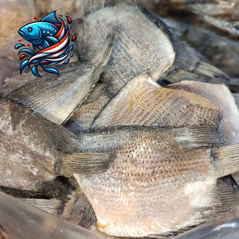 

Ikan tembakang | ukuran besar