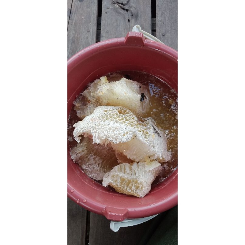 

madu asli kalimantan