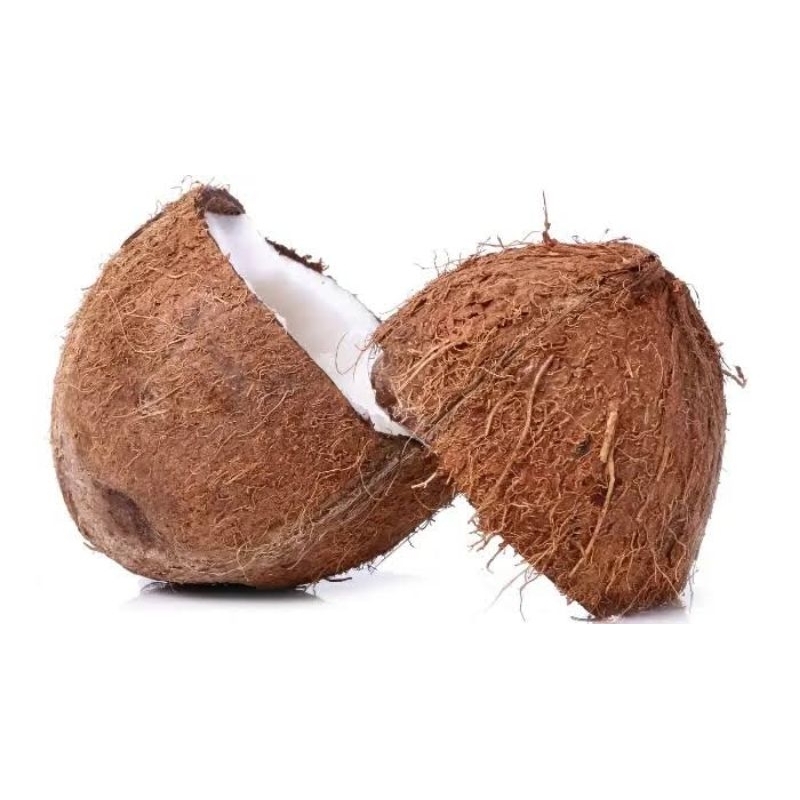 

Kelapa Tua Buat Olahan Masakan