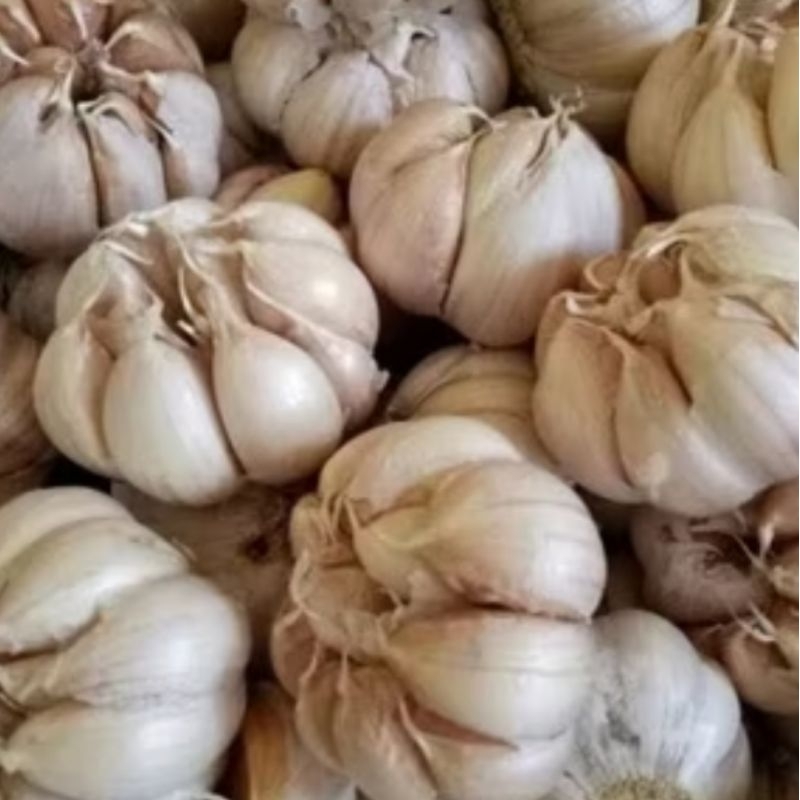

bawang putih cating 1kg.....